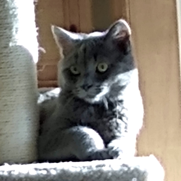 Meet your Posher, Sandra - Picture 3 of 4